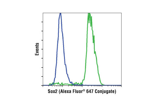 Flow cytometric analysis of HeLa cells (blue) and NTERA2 cells (green) using Sox2 (D6D9) XP ® Rabbit mAb (Alexa Fluor ® 647 Conjugate).