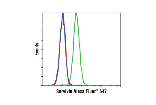 Flow cytometric analysis of untreated Jurkat cells, using Survivin (71G4E) Rabbit mAb (Alexa Fluor ® 647 Conjugate) in the absence of blocking peptide (green) or in the presence of Survivin Blocking Peptide #1037 (blue), compared to a nonspecific control antibody #3452 (red).