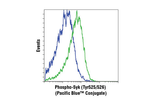 Flow cytometric analysis of Ramos cells, untreated (blue) or treated with anti-IgM and hydrogen peroxide (green), using Phospho-Syk (Tyr525/526) (C87C1) Rabbit mAb (Pacific Blue™ Conjugate).