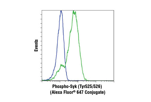 Flow cytometric analysis of Ramos cells, untreated (blue) or treated with anti-IgM and hydrogen peroxide (green), using Phospho-Syk (Tyr525/526) (C87C1) Rabbit mAb (Alexa Fluor ® 647 Conjugate).