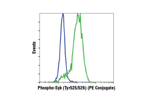 Flow cytometric analysis of Ramos cells, untreated (blue) or treated with anti-IgM and hydrogen peroxide (green), using Phospho-Syk (Tyr525/526) (C87C1) Rabbit mAb (PE Conjugate).
