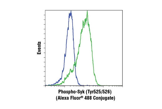 Flow cytometric analysis of Ramos cells, untreated (blue) or treated with anti-IgM and hydrogen peroxide (green), using Phospho-Syk (Tyr525/526) (C87C1) Rabbit mAb (Alexa Fluor ® 488 Conjugate).