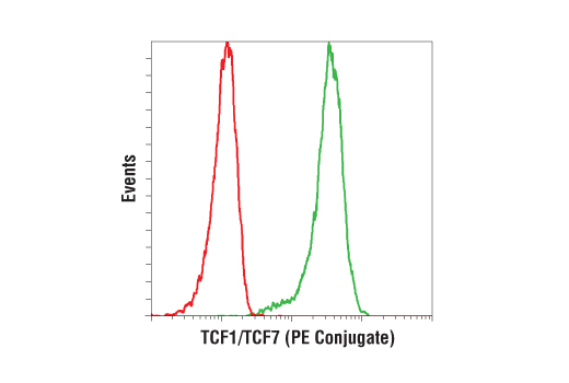 Flow cytometric analysis of Jurkat cells using TCF1/TCF7 (C63D9) Rabbit mAb (PE Conjugate) (green) compared to concentration-matched Rabbit (DA1E) mAb IgG XP ® Isotype Control (PE Conjugate) #5742 (red).