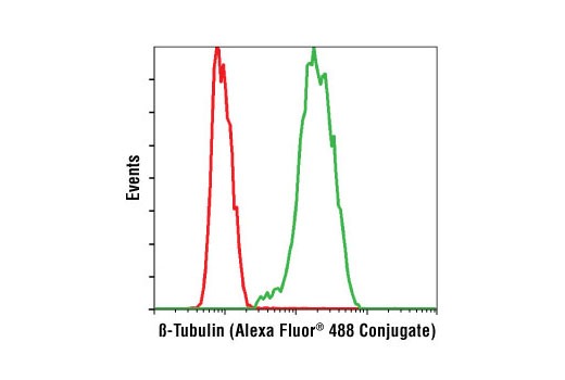 Flow cytometric analysis of NIH/3T3 cells using β-Tubulin (9F3) Rabbit mAb (Alexa Fluor® 488 Conjugate) (green) compared to XP ® Rabbit (DA1E) mAb IgG Isotype Control (Alexa Fluor® 488 Conjugate) #2975 (red).