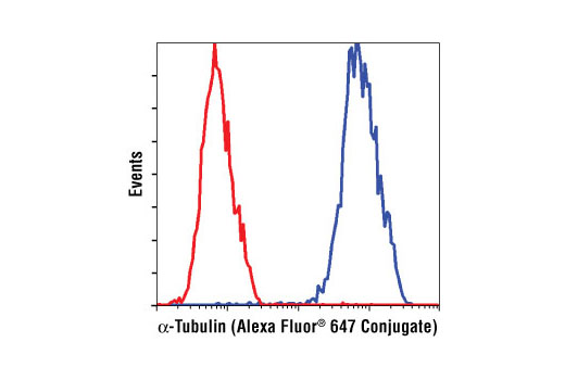 Flow cytometric analysis of HeLa cells using α-Tubulin (11H10) Rabbit mAb (Alexa Fluor ® 647 Conjugate) (blue) compared to Rabbit (DA1E) mAb IgG XP ® Isotype Control (Alexa Fluor ® 647 Conjugate) #2985 (red).