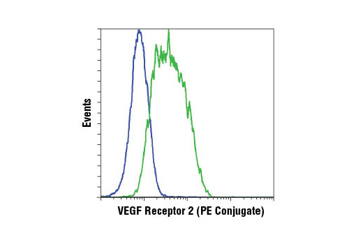 Flow cytometric analysis of HeLa cells (blue) and HUVEC cells (green) using VEGF Receptor 2 (D5B1) Rabbit mAb (PE Conjugate).