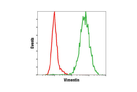 Flow cytometric analysis of HeLa cells, using Vimentin (D21H3) XP ® Rabbit mAb (Alexa Fluor ® 488 Conjugate) (green) compared to Rabbit (DA1E) mAb IgG XP ® Isotype Control (Alexa Fluor ® 488 Conjugate) #2975 (red).
