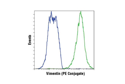 Flow cytometric analysis of MCF7 (blue) and HeLa (green) cells using Vimentin (D21H3) XP ® Rabbit mAb (PE Conjugate).