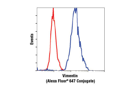 Flow cytometric analysis of HeLa cells, using Vimentin (D21H3) XP ® Rabbit mAb (Alexa Fluor ® 647 Conjugate) (blue) compared to Rabbit (DA1E) mAb IgG XP ® Isotype Control (Alexa Fluor ® 647 Conjugate) #2985 (red).
