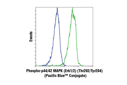 Flow cytometric analysis of Jurkat cells treated with U0126 #9903 (blue) or TPA (12-O-Tetradecanoylphorbol-13-Acetate) #4174 (green) using Phospho-p44/42 MAPK (Erk1/2) (Thr202/Tyr204) (D13.14.4E) XP ® Rabbit mAb (Pacific Blue™ Conjugate).