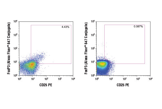 Flow cytometric analysis of human peripheral blood mononuclear cells using FoxP3 (D6O8C) Rabbit mAb (Alexa Fluor ® 647 Conjugate) versus an anti-human CD25 antibody, gated on either CD4+ T cells (left) or CD4- T cells (right).