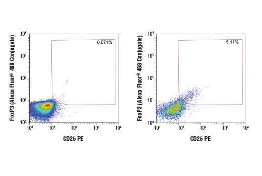 Flow cytometric analysis of human peripheral blood mononuclear cells using FoxP3 (D6O8C) Rabbit mAb (Alexa Fluor ® 488 Conjugate) versus an anti-human CD25 antibody, gated on either CD4+ T cells (right) or CD4- T cells (left).
