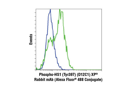 Flow cytometric analysis of Ramos cells, untreated (blue) or IgM-treated (green), using Phospho-HS1 (Tyr397) (D12C1) XP ® Rabbit mAb (Alexa Fluor ® 488 Conjugate).