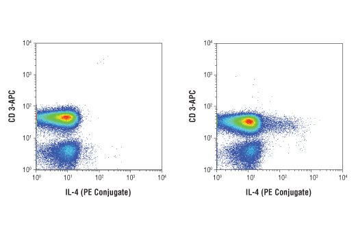 Flow cytometric analysis of human peripheral blood mononuclear cells, untreated (left) or treated (right) with TPA #4174 (40 nM, 5 hr), Ionomycin, Calcium Salt #9995 (2 μM, 5 hr), and Brefeldin A #9972 (3 μg/ml, last 4 hr of stimulation), using a CD3-APC antibody and IL-4 (D19A10) Rabbit mAb (PE Conjugate). Analysis was performed on cells in the lymphocyte gate.