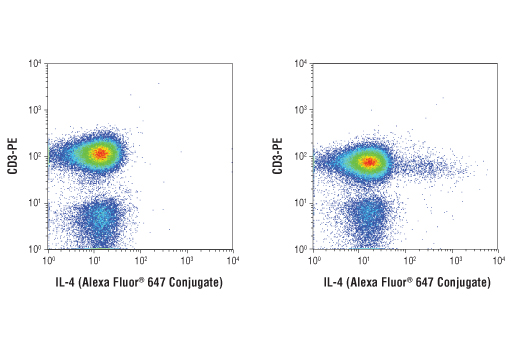Flow cytometric analysis of human peripheral blood mononuclear cells, untreated (left) or treated (right) with TPA #4174 (40 nM, 5 hr), Ionomycin, Calcium Salt #9995 (2 μM, 5 hr), and Brefeldin A #9972 (3 μg/ml, last 4 hr of stimulation), using a CD3-PE antibody and IL-4 (D19A10) Rabbit mAb (Alexa Fluor ® 647 Conjugate). Analysis was performed on cells in the lymphocyte gate.
