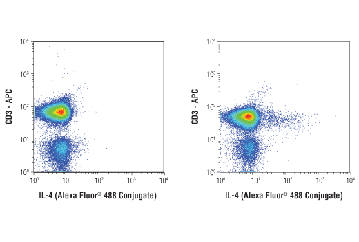 Flow cytometric analysis of human peripheral blood mononuclear cells, untreated (left) or treated (right) with TPA #4174 (40 nM, 5 hr), Ionomycin, Calcium Salt #9995 (2 μM, 5 hr), and Brefeldin A #9972 (3 μg/ml, last 4 hr of stimulation), using a CD3-APC antibody and IL-4 (D19A10) Rabbit mAb (Alexa Fluor ® 488 Conjugate). Analysis was performed on cells in the lymphocyte gate.
