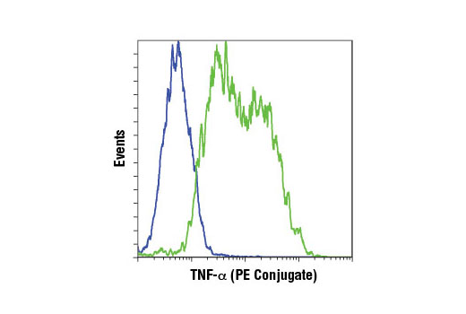 Flow cytometric analysis of Raw 264.7 cells, untreated (blue) or treated with LPS (100 ng/ml, 6 hr) and Brefeldin A #9972 (300 ng/ml, last 3 hr of treatment) (green), using TNF-α (D2D4) XP ® Rabbit mAb (Mouse Specific) (PE Conjugate).