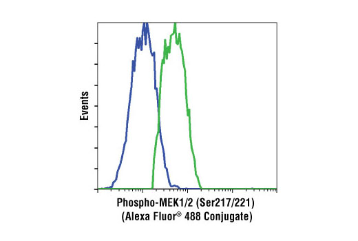 Flow cytometric analysis of Jurkat cells, treated with U0126 (MEK1/2 Inhibitor) #9903 (blue) or TPA (Phorbol-12-Myristate-13-Acetate) #9905 (green), using Phospho-MEK1/2 (Ser217/221) (41G9) Rabbit mAb (Alexa Fluor ® 488 Conjugate).