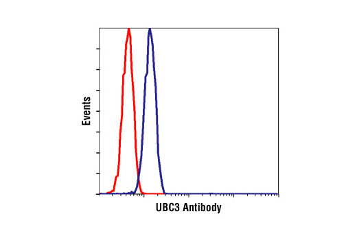 Flow cytometric analysis of untreated Jurkat cells using UBC3 antibody (blue) compared to a nonspecific negative control antibody (red).