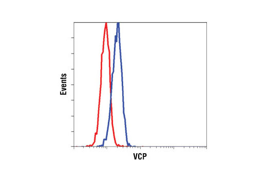 Flow cytometric analysis of K562 cells, using VCP Antibody (blue) compared to a nonspecific negative control antibody (red).