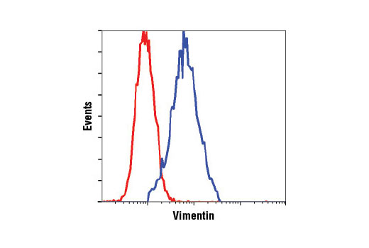 Flow cytometric analysis of HeLa cells, using Vimentin (D21H3) XP ® Rabbit mAb (blue) compared to Rabbit (DA1E) mAb IgG XP ® Isotype Control #3900 (red).