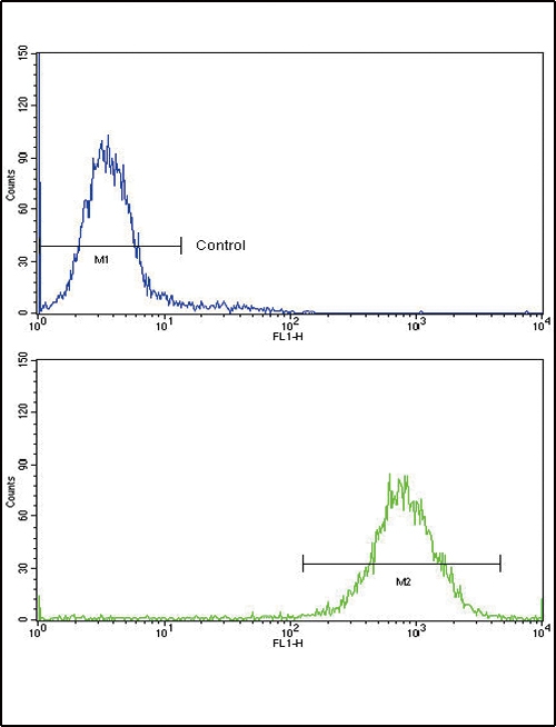 ARG55688 anti-MDH2 antibody FACS image Flow Cytometry: K562 cells stained with ARG55688 anti-MDH2 antibody (bottom histogram) or without primary antibody control (top histogram), followed by incubation with FITC labelled secondary antibody.