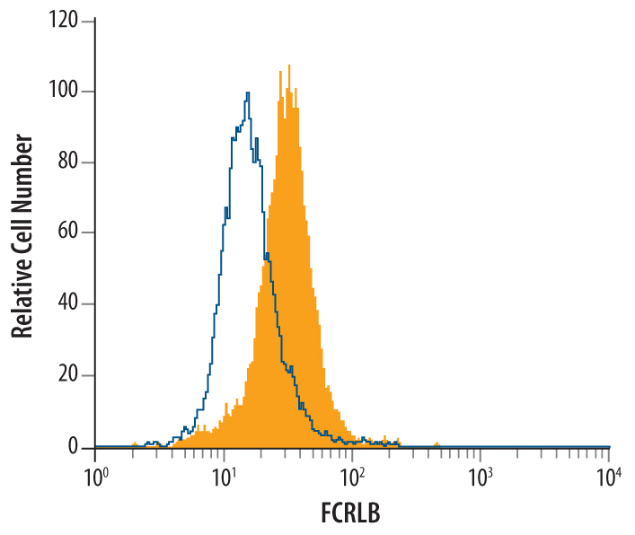 Detection of FCRLB/FCRY in Daudi Human Cell Line by Flow Cytometry. Daudi human Burkitt's lymphoma cell line was stained with Mouse Anti-Human FCRLB/FCRY Monoclonal Antibody (Catalog # MAB4705, filled histogram) or isotype control antibody (Catalog # MAB0041, open histogram), followed by Phycoerythrin-conjugated Anti-Mouse IgG F(ab')2 Secondary Antibody (Catalog # F0102B).