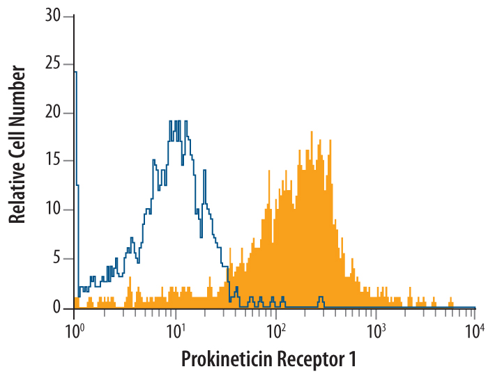 Detection of Prokineticin R1/PKR1 in Human Monocytes by Flow Cytometry. Human blood‑derived monocytes were stained with Human Prokineticin R1/PKR1 Monoclonal Antibody (Catalog # MAB4655, filled histogram) or isotype control antibody (Catalog # MAB0041, open histogram), followed by Allophycocyanin-conjugated Anti-Mouse IgG F(ab')2 Secondary Antibody (Catalog # F0101B).