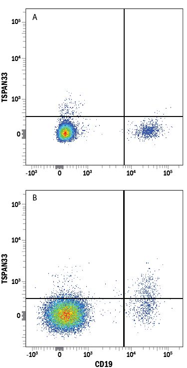Detection of TSPAN33 in Human PBMCs by Flow Cytometry. Human peripheral blood mononuclear cells (PBMCs) either (A) untreated or (B) treated overnight with Recombinant Human IL‑4 (Catalog # 204-IL) and Recombinant Human CD40 Ligand/TNFSF5 (Catalog # 6245-CL) were stained with Mouse Anti-Human TSPAN33 APC‑conjugated Monoclonal Antibody (Catalog # FAB8405A) and Mouse Anti-Human CD19 PE‑conjugated Monoclonal Antibody (Catalog # FAB4867P). Quadrant markers were set based on control antibody staining (Catalog # IC0041A). View our protocol for Staining Membrane-associated Proteins.