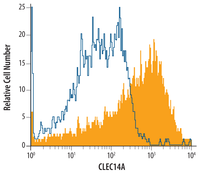 Detection of Clec-14A in HUVEC Human Cells by Flow Cytometry. HUVEC human umbilical vein endothelial cells were stained with Sheep Anti-Human CLEC14A Antigen Affinity-purified Polyclonal Antibody (Catalog # AF4968, filled histogram) or isotype control antibody (Catalog # 5-001-A , open histogram), followed by Phycoerythrin-conjugated Anti-Sheep IgG Secondary Antibody (Catalog # F0126 ).