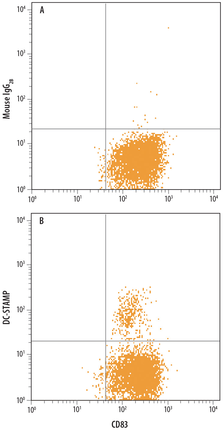 Detection of DC-STAMP in Human Mature Dendritic Cells by Flow Cytometry. Human mature dendritic cells derived from CD14 + Human peripheral blood mononuclear cells (PBMCs) treated with 20 ng/mL Recombinant Human IL-4 (Catalog # 204-IL ) and 50 ng/mL Recombinant Human GM-CSF (Catalog # 215-GM ) for 6 days then treated with 20 ng/mL LPS, 20 ng/mL Recombinant Human TNF-a (Catalog # 210-TA ), and 20 ng/mL Recombinant Human IL-1 beta (Catalog # 201-LB ) for 24 hours were stained with Mouse Anti-Human CD83 Fluorescein-conjugated Monoclonal Antibody (Catalog # FAB1774F ) and either (A) Mouse IgG 2B Isotype Control (Catalog # MAB0041 ) or (B) Mouse Anti-Human DC-STAMP Monoclonal Antibody (Catalog # MAB7824) followed by Allophycocyanin-conjugated Anti-Mouse IgG Secondary Antibody (Catalog # F0101B ).