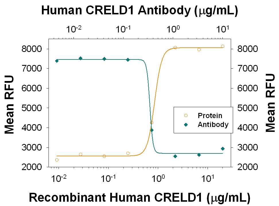 Cell Adhesion Mediated by CRELD1 and Neutralization by Human CRELD1 Antibody. Recombinant Human CRELD1 (Catalog # 3128-CR ), immobilized onto a microplate, supports the adhesion of the ATDC5 mouse chondrogenic cell line in a dose-dependent manner (orange line). Adhesion elicited by Recombinant Human CRELD1 (2 µg/mL) is neutralized (green line) by increasing concentrations of Mouse Anti-Human CRELD1 Monoclonal Antibody (Catalog # MAB3128). The ND 50 is typically 0.15‑0.75 µg/mL.
