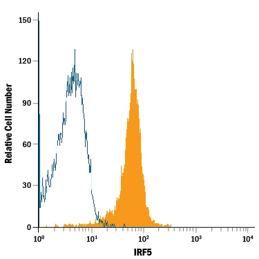 Detection of IRF5 in A20 Mouse Cell Line by Flow Cytometry. A20 mouse B cell lymphoma cell line was stained with Rat Anti-Mouse IRF5 Monoclonal Antibody (Catalog # MAB8447, filled histogram) or isotype control antibody (Catalog # MAB0061 , open histogram), followed by Allophycocyanin-conjugated Anti-Rat IgG Secondary Antibody (Catalog # F0113 ). To facilitate intracellular staining, cells were fixed with paraformaldehyde and permeabilized with saponin.