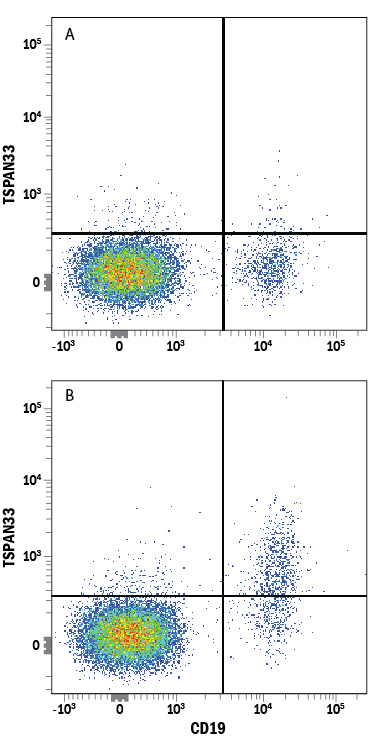 Detection of TSPAN33 in Human PBMCs by Flow Cytometry. Human peripheral blood mononuclear cells (PBMCs) either (A) untreated or (B) treated overnight with Recombinant Human IL-4 (Catalog # 204-IL ) and Recombinant Human CD40 Ligand/TNFSF5 (Catalog # 6245-CL ) were stained with Mouse Anti-Human TSPAN33 Monoclonal Antibody (Catalog # MAB8405) followed by Allophycocyanin-conjugated Anti-Mouse IgG Secondary Antibody (Catalog # F0101B ) and Mouse Anti-Human CD19 PE-conjugated Monoclonal Antibody (Catalog # FAB4867P ). Quadrant markers were set based on control antibody staining (Catalog # MAB0041 ).