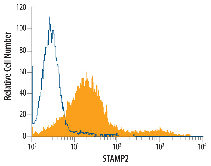 Detection of STAMP2 in Human STAMP2 Transfected HEK293 Human Cell Line by Flow Cytometry. Human STAMP2 transfected HEK293 human cell line was stained with Mouse Anti-Human STAMP2 Monoclonal Antibody (Catalog # MAB4626, filled histogram) or isotype control antibody (Catalog # MAB0041 , open histogram), followed by Allophycocyanin-conjugated Anti-Mouse IgG Secondary Antibody (Catalog # F0101B ).