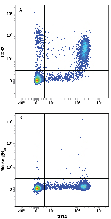 Detection of CCR2 in Human PBMCs by Flow Cytometry. Human peripheral blood mononuclear cells (PBMCs) were stained with Mouse Anti-Human CD14 APC-conjugated Monoclonal Antibody (Catalog # FAB3832A ) and either (A) Mouse Anti-Human CCR2 PE-conjugated Monoclonal Antibody (Catalog # FAB151P) or (B) Mouse IgG 2B Phycoerythrin Isotype Control (Catalog # IC0041P ). View our protocol for Staining Membrane-associated Proteins .