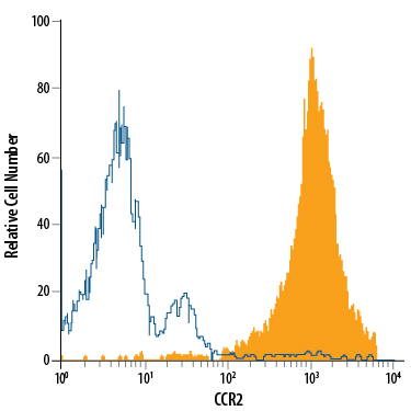 Detection of CCR2 in L1.2 Mouse Cell Line Transfected with Mouse CCR2 by Flow Cytometry. L1.2 mouse pro-B cell line transfected with mouse CCR2 was stained with Rat Anti-Mouse CCR2 APC-conjugated Monoclonal Antibody (Catalog # FAB5538A, filled histogram) or isotype control antibody (Catalog # IC013A , open histogram). View our protocol for Staining Membrane-associated Proteins .