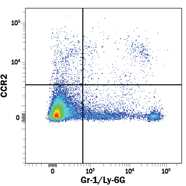 Detection of CCR2 in Mouse Splenocytes byFlow Cytometry. Mouse splenocytes were stained with RatAnti-Mouse CCR2 PE-conjugated Monoclonal Antibody (Catalog #FAB5538P) and Rat Anti-Mouse Gr-1/Ly-6GFluorescein-conjugated Monoclonal Antibody (Catalog # FAB1037F ).Quadrant marker was set based on isotype control antibody staining (Catalog # IC013P). View our protocol for StainingMembrane-associated Proteins .