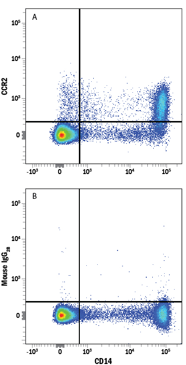Detection of CCR2 in Human PBMCs by Flow Cytometry. Human peripheral blood mononuclear cells (PBMCs) were stained with Mouse Anti-Human CD14 PE-conjugated Monoclonal Antibody (Catalog # FAB3832P ) and either (A) Mouse Anti-Human CCR2 APC-conjugated Monoclonal Antibody (Catalog # FAB151A) or (B) Mouse IgG 2B Allophycocyanin Isotype Control (Catalog # IC0041A ). View our protocol for Staining Membrane-associated Proteins .