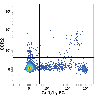 Detection of CCR2 in Mouse Splenocytes byFlow Cytometry. Mouse splenocytes were stained with RatAnti-Mouse CCR2 Fluorescein-conjugated Monoclonal Antibody (Catalog# FAB5538F) and Rat Anti-Mouse Gr-1/Ly-6GPE-conjugated Monoclonal Antibody (Catalog # FAB1037P ).View our protocol for StainingMembrane-associated Proteins .