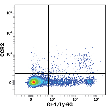 Detection of CCR2 in Mouse Splenocytes by Flow Cytometry. Mouse splenocytes were stained with Rat Anti-Mouse CCR2 Alexa Fluor® 700-conjugated Monoclonal Antibody (Catalog # FAB5538N) and Rat Anti-Mouse Gr-1/Ly-6G Fluorescein-conjugated Monoclonal Antibody (Catalog # FAB1037F ). Quadrant markers were set based on control antibody staining (Catalog # IC013N ). View our protocol for Staining Membrane-associated Proteins .