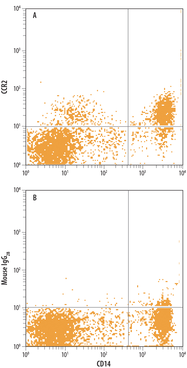 Detection of CCR2 in Human Blood Monocytes by Flow Cytometry. Human peripheral blood monocytes were stained with Mouse Anti-Human CD14 PE-conjugated Monoclonal Antibody (Catalog # FAB3832P ) and either (A) Mouse Anti-Human CCR2 Alexa Fluor® 700-conjugated Monoclonal Antibody (Catalog # FAB151N) or (B) Mouse IgG 2B Alexa Fluor 700 Isotype Control (Catalog # IC0041N ). View our protocol for Staining Membrane-associated Proteins .