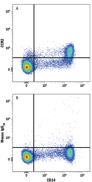 Detection of CCR2 in Human PBMCs by Flow Cytometry. Human peripheral blood mononuclear cells (PBMCs) were stained with Mouse Anti-Human CD14 APC-conjugated Monoclonal Antibody (Catalog # FAB3832A ) and either (A) Mouse Anti-Human CCR2 PerCP-conjugated Monoclonal Antibody (Catalog # FAB151C) or (B) Mouse IgG 2B PerCP Isotype Control (Catalog # IC0041C ). View our protocol for Staining Membrane-associated Proteins .