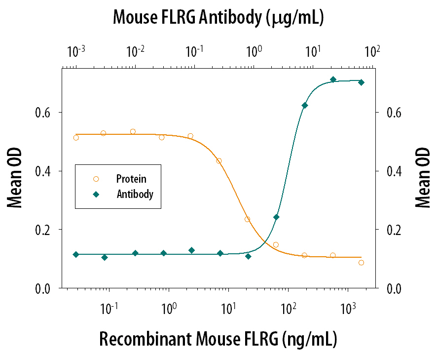 Follistatin-related Gene Protein/FLRG Inhibition of Activin A-induced Hemoglobin Expression and Neutralization by Mouse Follistatin-related Gene Protein/FLRG Antibody. Recombinant Mouse Follistatin-related Gene Protein/FLRG (Catalog # 1255-F3) inhibits Recombinant Human/Mouse/Rat Activin A (Catalog # 338-AC) induced hemoglobin expression in the K562 human chronic myelogenous leukemia cell line in a dose-dependent manner (orange line), as measured by the psuedoperoxidase assay. Inhibition of Recombinant Human/Mouse/Rat Activin A (7.5 ng/mL) activity elicited by Recombinant Mouse Follistatin-related Gene Protein/FLRG (0.1 µg/mL) is neutralized (green line) by increasing concentrations of Goat Anti-Mouse Follistatin-related Gene Protein/FLRG Antigen Affinity-purified Polyclonal Antibody (Catalog # AF1255). The ND50 is typically 3‑12 µg/mL.