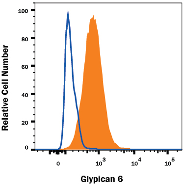 Detection of Glypican 6 in HepG2 Human Cell Line by Flow Cytometry. HepG2 human hepatocellular carcinoma cell line was stained with Mouse Anti-Human Glypican 6 Monoclonal Antibody (Catalog # MAB2845, filled histogram) or isotype control antibody (Catalog # MAB002 , open histogram), followed by Allophycocyanin-conjugated Anti-Mouse IgG Secondary Antibody (Catalog # F0101B ). To facilitate intracellular staining, cells were fixed with Flow Cytometry Fixation Buffer (Catalog # FC004 ) and permeabilized with Flow Cytometry Permeabilization/Wash Buffer I (Catalog # FC005 ). View our protocol for Staining Intracellular Molecules .