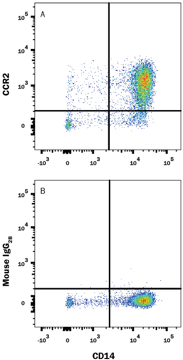 Detection of CCR2 in Human Blood Monocytes by Flow Cytometry. Human peripheral blood monocytes were stained with Mouse Anti-Human CD14 PE‑conjugated Monoclonal Antibody (Catalog # FAB3832P ) and either (A) Mouse Anti-Human CCR2 Monoclonal Antibody (Catalog # MAB150) or (B) Mouse IgG 2B Flow Cytometry Isotype Control (Catalog # MAB0041 ) followed by Allophycocyanin-conjugated Anti-Mouse IgG Secondary Antibody (Catalog # F0101B ). View our protocol for Staining Membrane-associated Proteins .