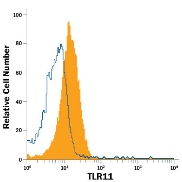 Detection of TLR11 in RAW 264.7 Mouse Cell Line by Flow Cytometry. RAW 264.7 mouse monocyte/macrophage cell line was stained with Rat Anti-Mouse TLR11 APC‑conjugated Monoclonal Antibody (Catalog # IC7640A, filled histogram) or isotype control antibody (Catalog # IC013A , open histogram). To facilitate intracellular staining, cells were fixed with Flow Cytometry Fixation Buffer (Catalog # FC004 ) and permeabilized with Flow Cytometry Permeabilization/Wash Buffer I (Catalog # FC005 ). View our protocol for Staining Intracellular Molecules .