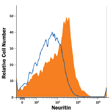 Detection of Neuritin in HepG2 Human Cell Line by Flow Cytometry. HepG2 human hepatocellular carcinoma cell line was stained with Goat Anti-Human/Rat Neuritin Antigen Affinity-purified Polyclonal Antibody (Catalog # AF283, filled histogram) or isotype control antibody (Catalog # AB-108-C , open histogram), followed by Allophycocyanin-conjugated Anti-Goat IgG Secondary Antibody (Catalog # F0108 ). View our protocol for Staining Membrane-associated Proteins .