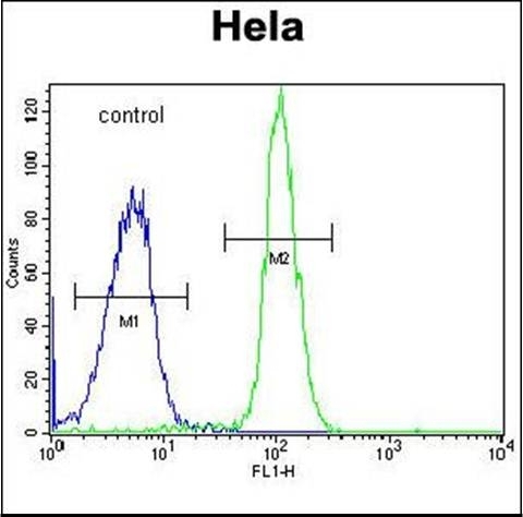 Anti-ADPRHL2 antibody used in Flow cytometry/FACS. GTX53536