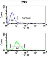 Anti-CDC14B antibody, Internal used in Flow cytometry/FACS. GTX80573